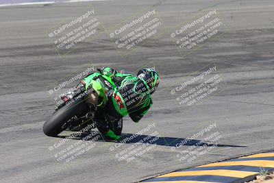 media/Feb-04-2024-SoCal Trackdays (Sun) [[91d6515b1d]]/4-Bowl Backside (11am)/